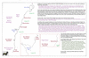 coo1e06 dromedary to jervis_thumb.gif